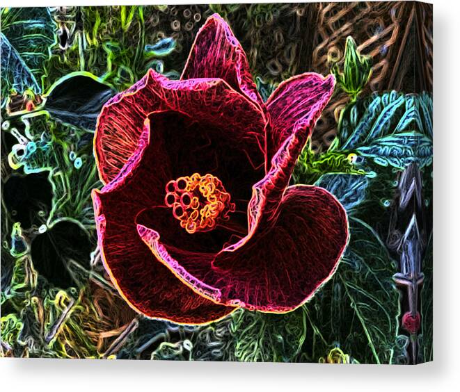 Tulip Canvas Print featuring the photograph The reddish flower by Steven Wills