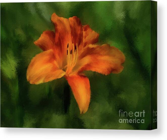 Flower Canvas Print featuring the digital art Tiger Lily by Lois Bryan
