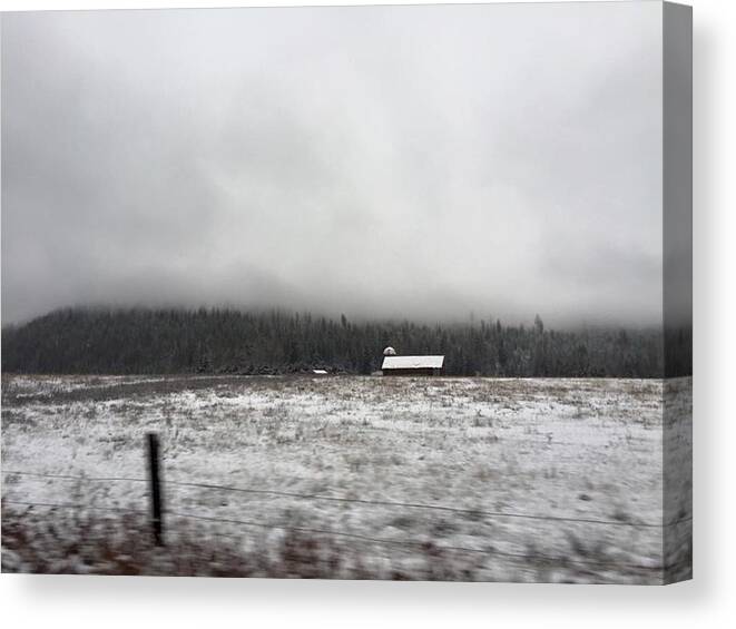 Tranquility Canvas Print featuring the photograph Trees growing on snowy field by Starla Lago / FOAP