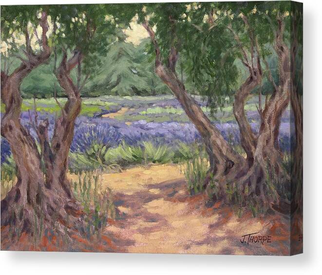 Lavender Canvas Print featuring the painting View From the Olive Grove by Jane Thorpe