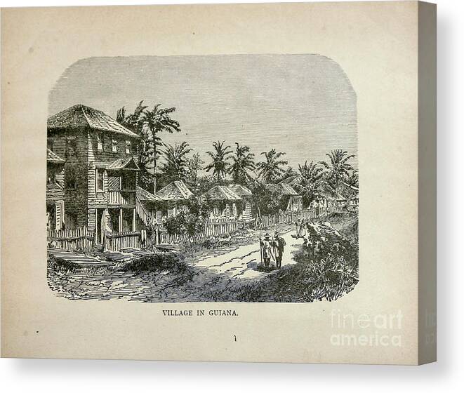 Village Canvas Print featuring the photograph Village in Guiana b1 by Historic illustrations