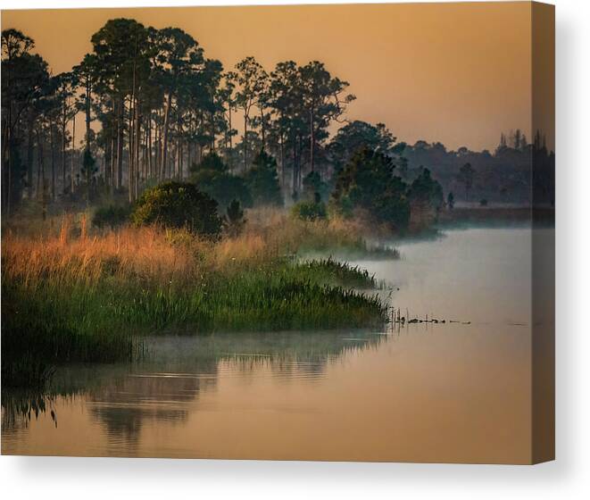 Everglades Canvas Print featuring the photograph Waking Up In The Glades by Rebecca Herranen