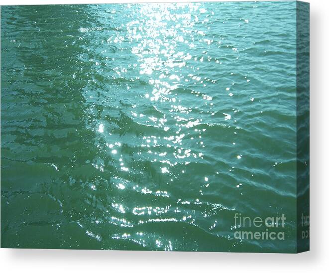 Water Canvas Print featuring the photograph Water by Rebecca Harman