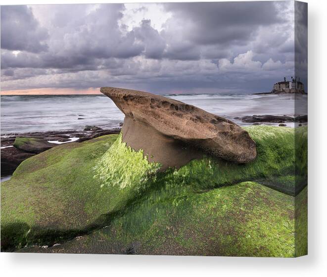 San Diego Canvas Print featuring the photograph Windansea Beach Rock and Afternoon Rain Clouds by William Dunigan