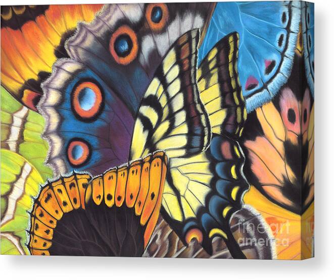 Butterflies Canvas Print featuring the painting Wings of North Amerca by Lucy Arnold