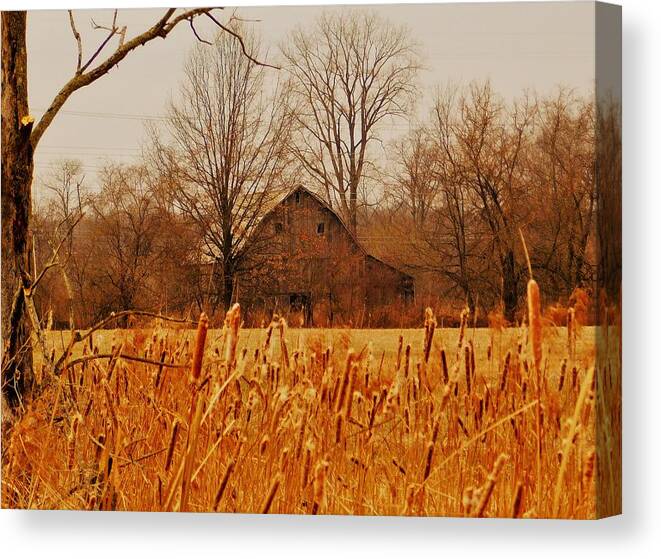 - Winter Farm - New Albany Oh Canvas Print featuring the photograph - Winter Farm - New Albany OH by THERESA Nye