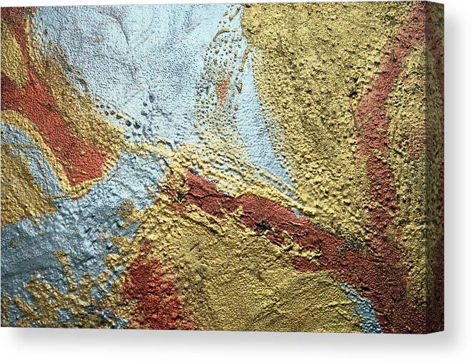 Photograph Canvas Print featuring the photograph Abstract #1 by Larah McElroy