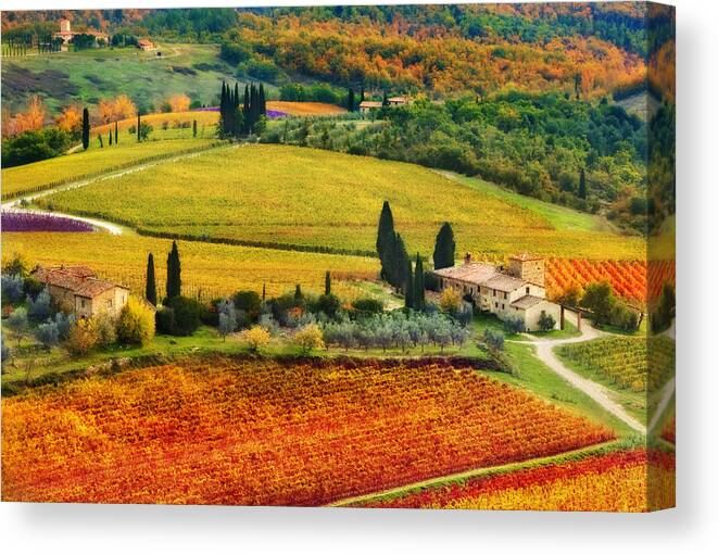 Tuscany Canvas Print featuring the photograph Autunno #1 by John Galbo