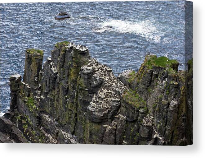 Nobody Canvas Print featuring the photograph Cliffs Of Moher #1 by Bob Gibbons