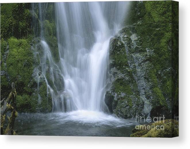 Waterfall Canvas Print featuring the photograph Coming Together #1 by Sandra Bronstein
