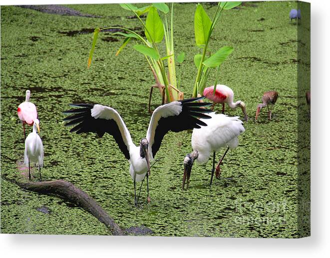 Bird Canvas Print featuring the photograph Excuse Me #1 by Rosemary Aubut