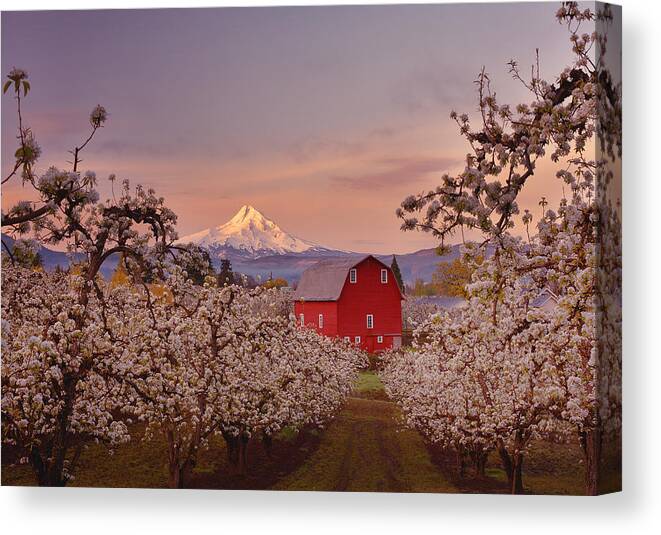 Sunrise Canvas Print featuring the photograph Hood River Sunrise by Darren White