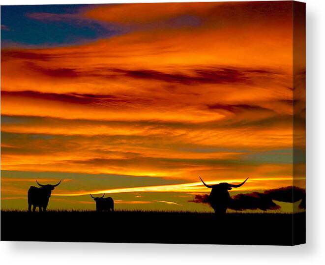 Longhorn Canvas Print featuring the photograph Longhorn Sunset #1 by Dawn Key