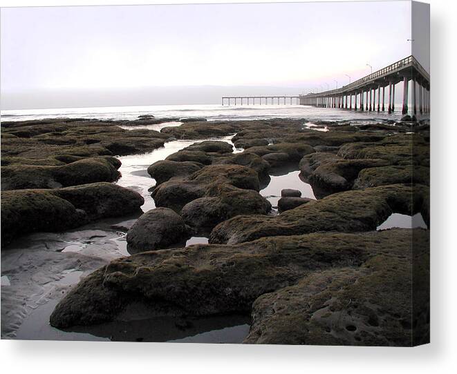 Seascape Canvas Print featuring the photograph Low Tide #1 by Brian Gilna