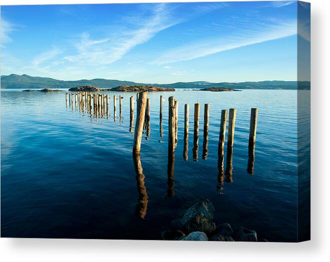 Water Canvas Print featuring the photograph Myrtle Remnants #1 by Darren Bradley