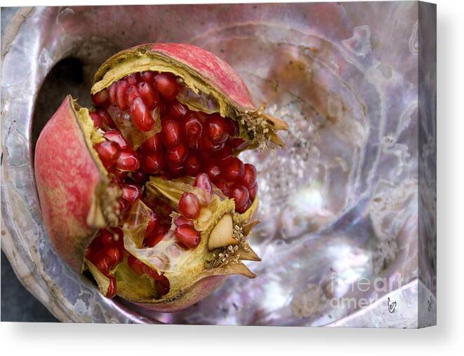 Red Canvas Print featuring the photograph Pomegranate on abalone by Cindy Garber Iverson