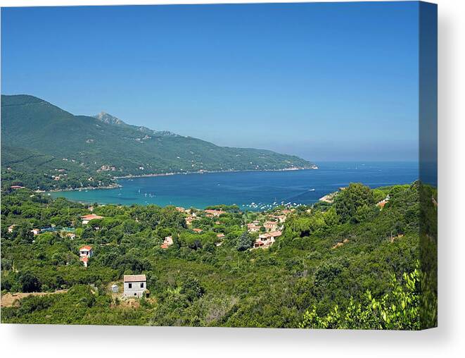 Coast Canvas Print featuring the photograph Procchio, Isola D'elba, Elba, Tuscany #1 by Nico Tondini