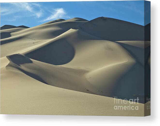 00559255 Canvas Print featuring the photograph Sand Dunes In Death Valley by Yva Momatiuk John Eastcott