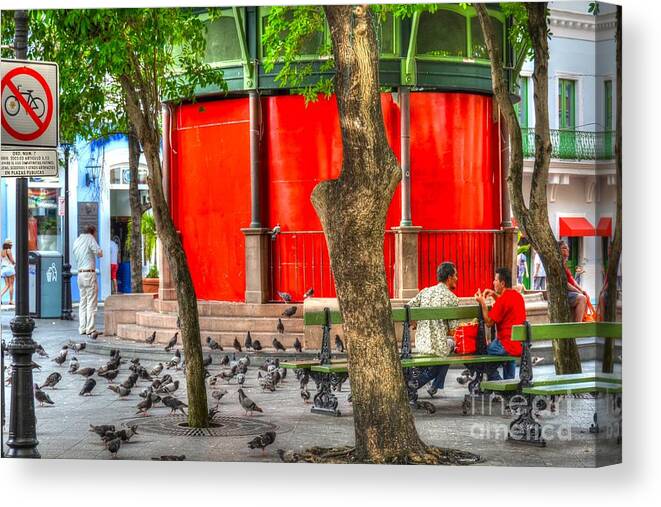 Bench Canvas Print featuring the photograph Sitting on a Park Bench #2 by Debbi Granruth