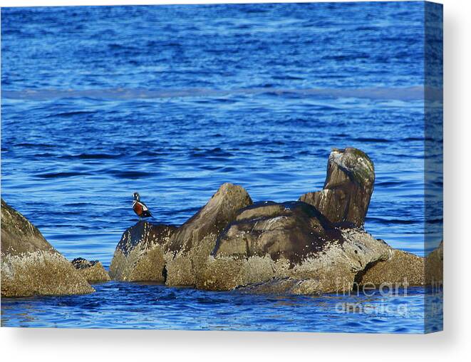 Ocean Canvas Print featuring the photograph South Jetty Newport Oregon #1 by Loni Collins