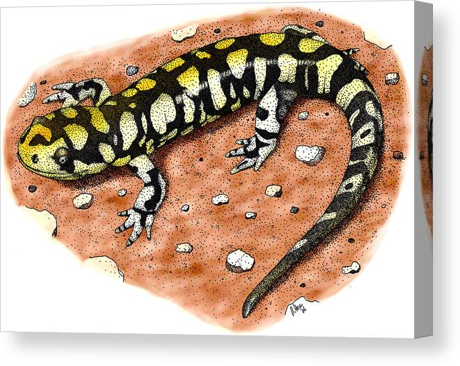 Eastern Tiger Salamander Canvas Print featuring the photograph Tiger Salamander #1 by Roger Hall