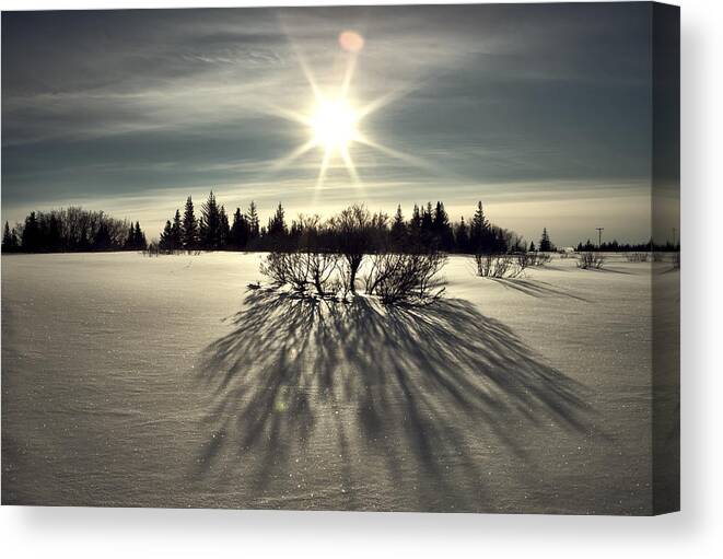 Alaska Canvas Print featuring the photograph Winter Shadows #1 by Michele Cornelius