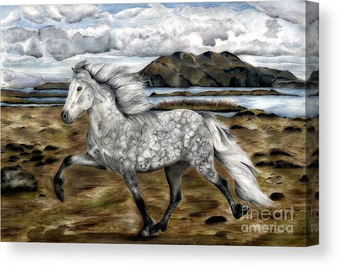 Icelandic Horse Canvas Print featuring the painting Charismatic Icelandic Horse by Shari Nees