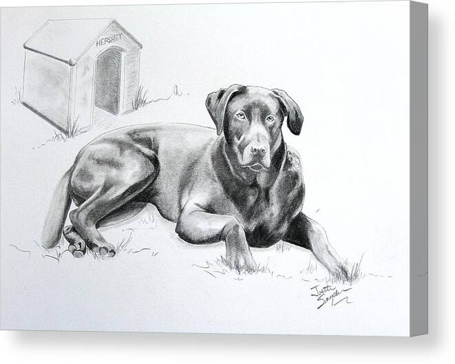 Professional Pet Portrait Artist Canvas Print featuring the drawing Hershey by Joette Snyder