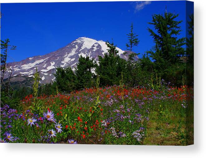 Mt. Rainier Canvas Print featuring the photograph Mount Rainier by Jerry Cahill