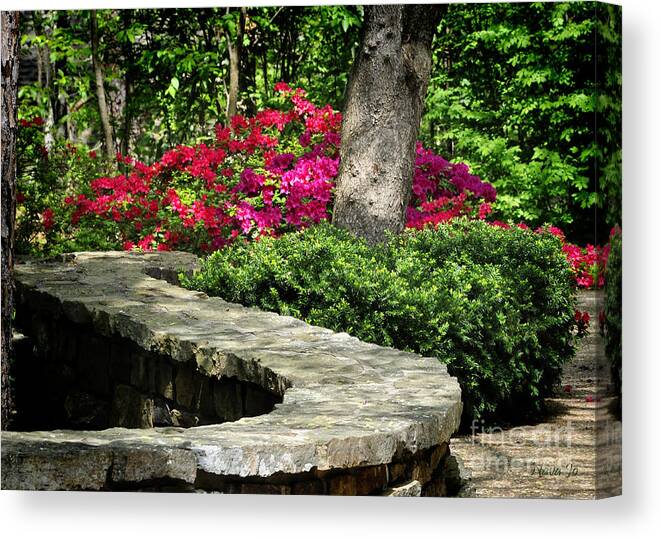 Nature Canvas Print featuring the photograph Stay on the Path by Nava Thompson