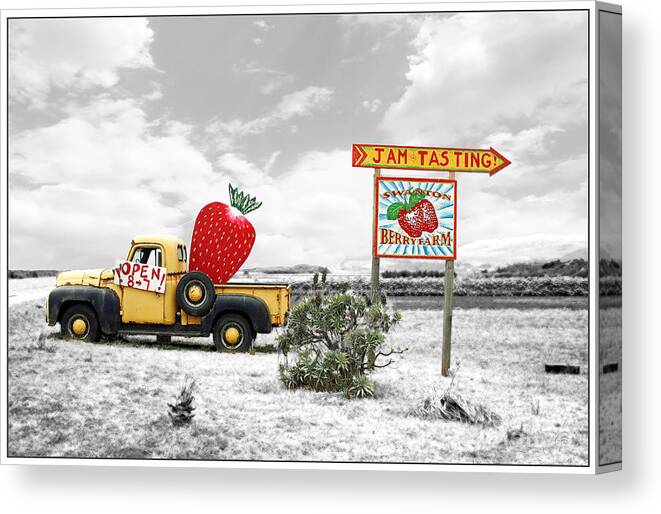 Gabriele Pomykaj Canvas Print featuring the photograph Strawberry Fields Forever by Gabriele Pomykaj