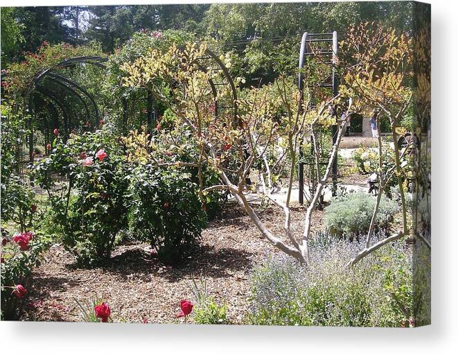 Landscape Canvas Print featuring the photograph A day in the Garden #24 by Marian Jenkins