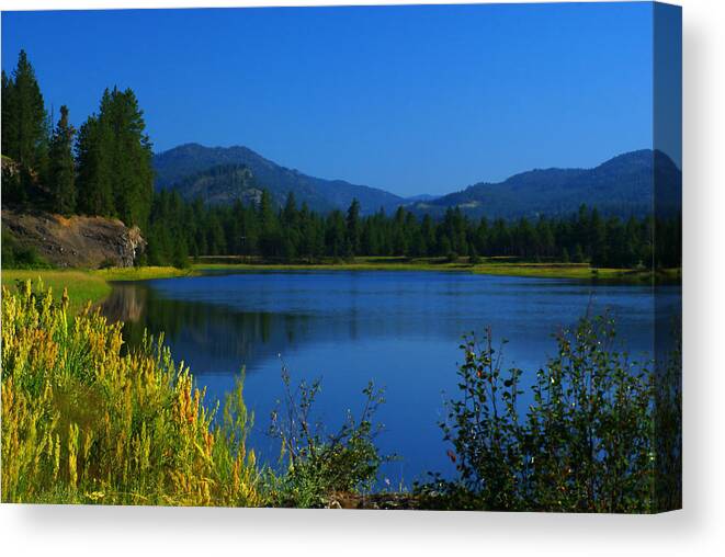 Kettle River Canvas Print featuring the photograph Kettle River #3 by Loni Collins