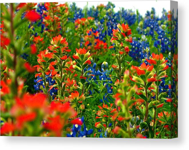 Wildflowers Canvas Print featuring the photograph Wildflowers #3 by John Babis