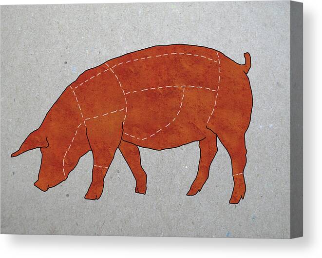Pig Canvas Print featuring the digital art A Butchers Diagram Of A Pig by Malte Mueller