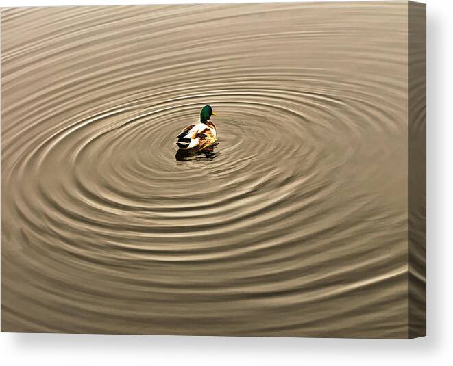 Duck Canvas Print featuring the photograph A Duck Making Waves by Gary Slawsky