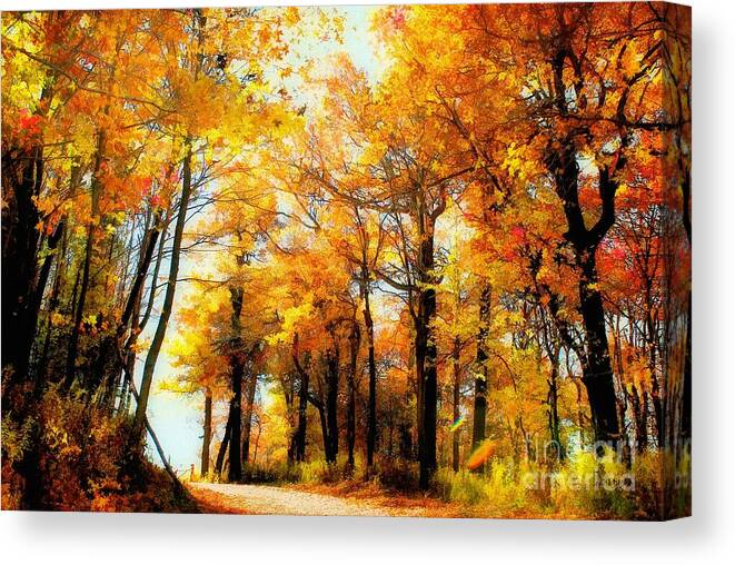 Autumn Leaves Canvas Print featuring the photograph A Golden Day by Lois Bryan