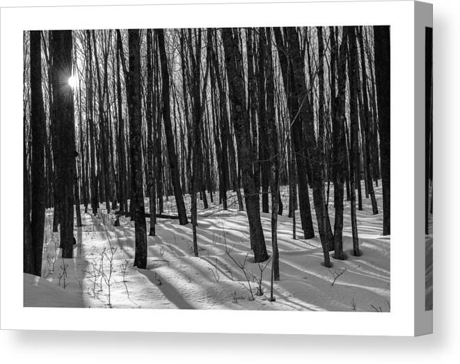 Monochrome Landscape Canvas Print featuring the photograph A Long Winter's Day by Dan Hefle