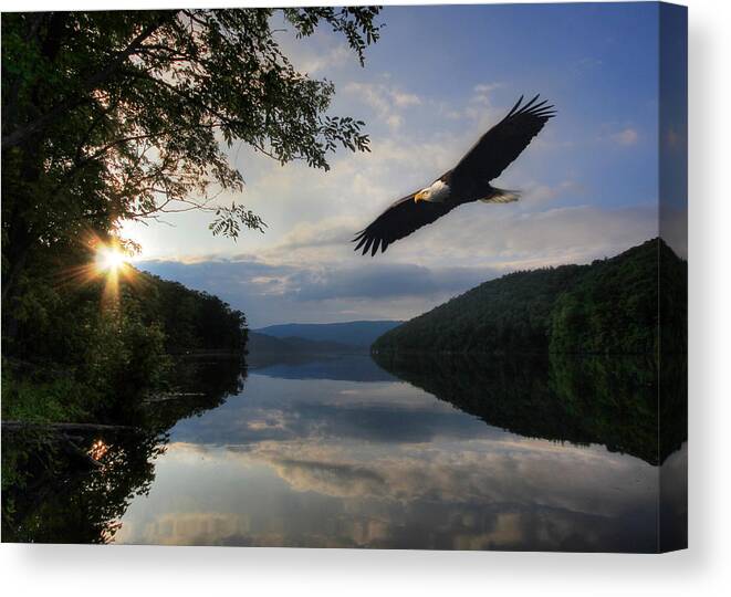 Bird Canvas Print featuring the photograph A New Beginning by Lori Deiter