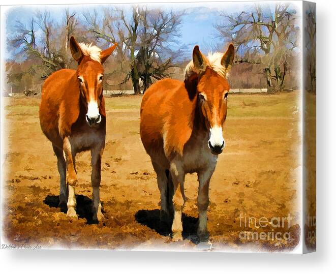 Nature Canvas Print featuring the photograph A Pair of Mules Digital paint by Debbie Portwood