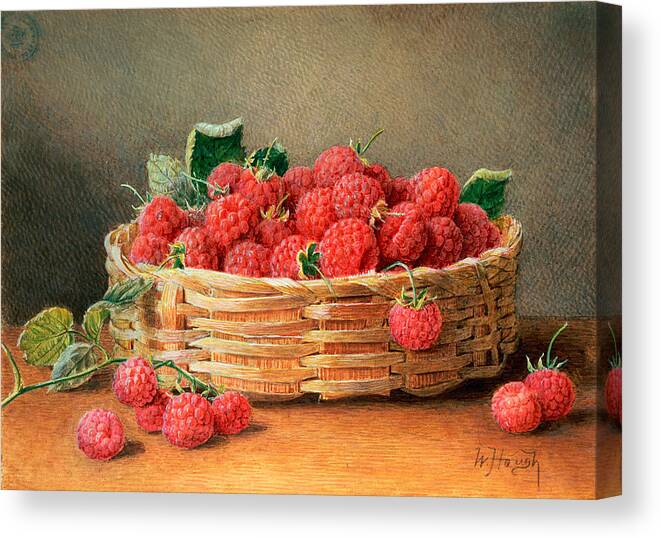 Fruit Canvas Print featuring the painting A Still Life of Raspberries in a Wicker Basket by William B Hough