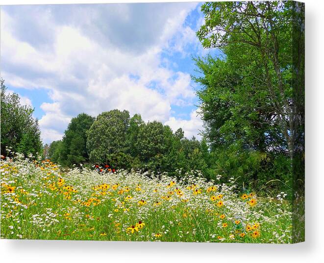 Panoramic Sky Canvas Print featuring the photograph A Summer Meadow by Jim Whalen