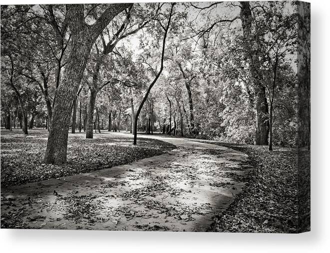 Black And White Canvas Print featuring the photograph A Walk In The Park by Darryl Dalton