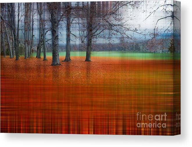 Abstract Canvas Print featuring the photograph abstract atumn II by Hannes Cmarits