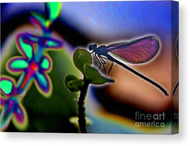 Abstract Dragonfly Canvas Print featuring the digital art Abstract Dragonfly by Mark Van Martin