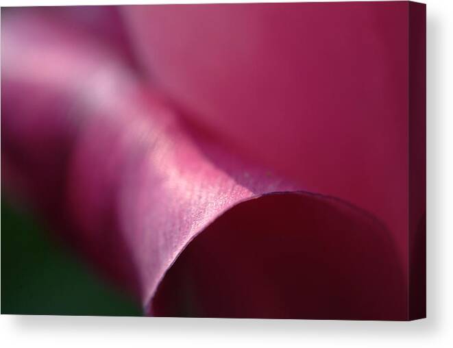 Flower Canvas Print featuring the photograph Abstract petal by Michael McGowan