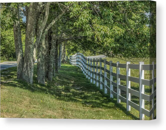 Maine Canvas Print featuring the photograph Along a country road by Jane Luxton