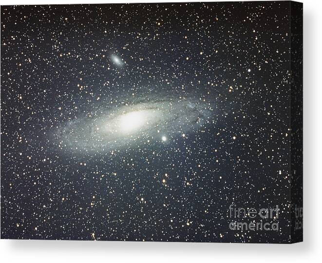 M31 Canvas Print featuring the photograph Andromeda Galaxy by John Chumack