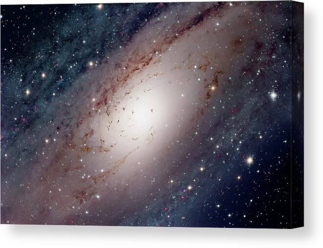Andromeda Galaxy Canvas Print featuring the photograph Andromeda Galaxy's Nucleus by Robert Gendler/science Photo Library