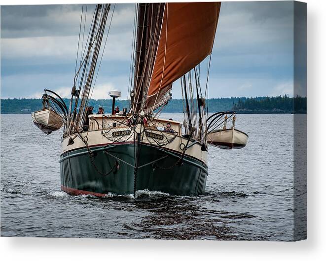 Windjammer Canvas Print featuring the photograph Angelique Bow On by Fred LeBlanc